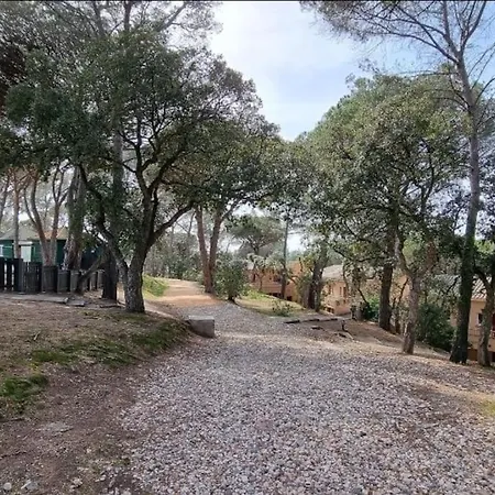 Chez K&d Avec Piscine St Raphaël